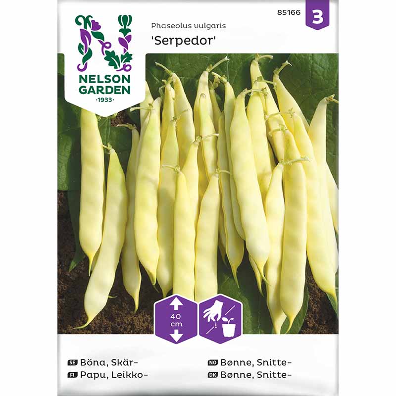 Schnittbohne 'Serpedor'