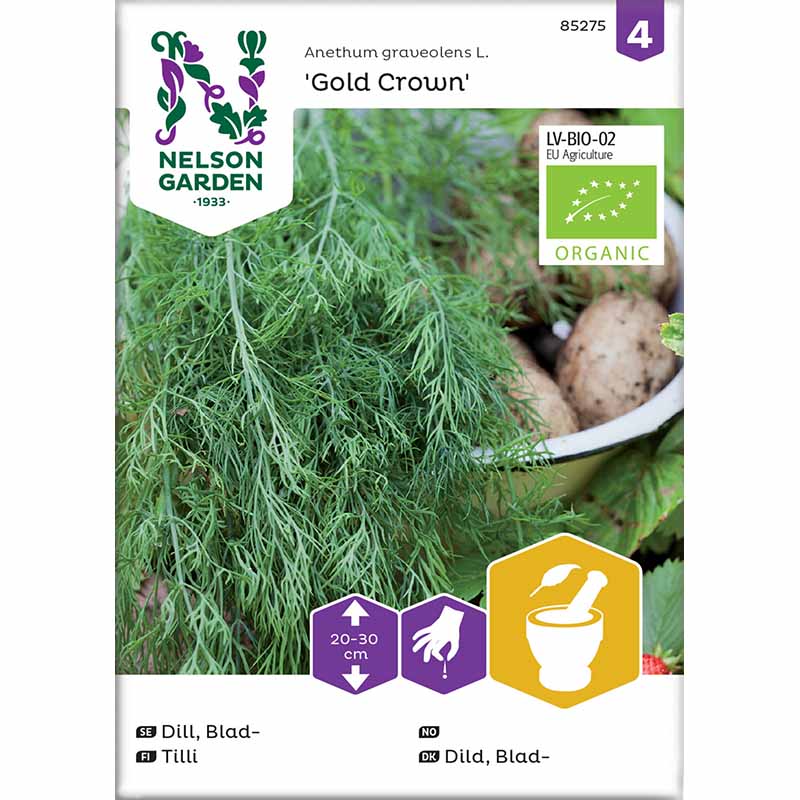 Blattdill 'Gold Crown'