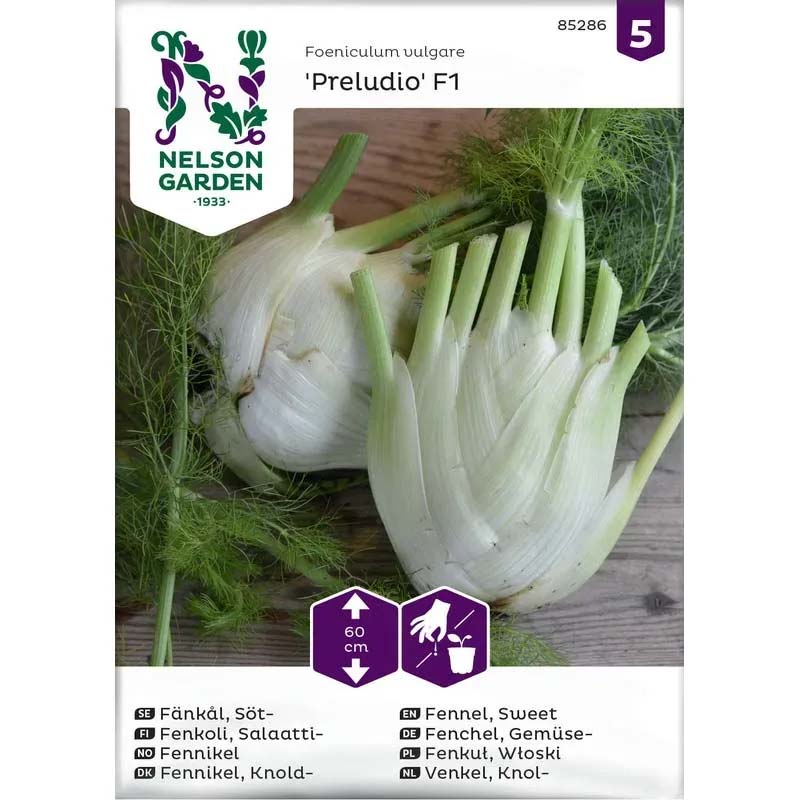 Fenchel 'Preludio' F1