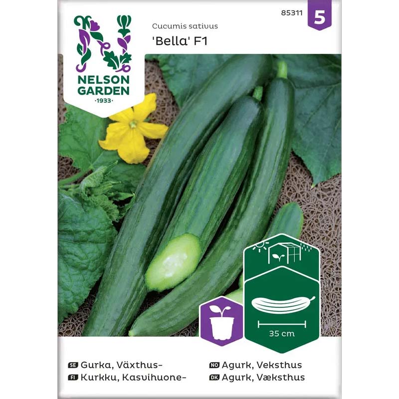 V äxthusgurka 'Bella' F1
