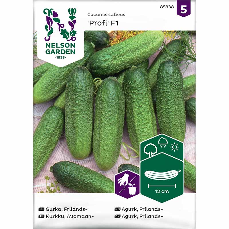 Freilandgurke 'Profi' F1