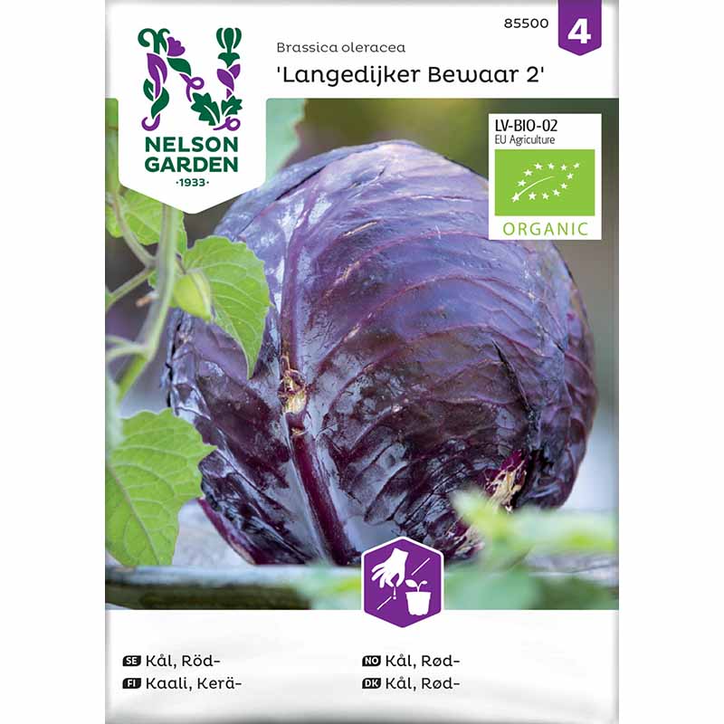 Rotkohl 'Langedijker Bewaar 2' Organic