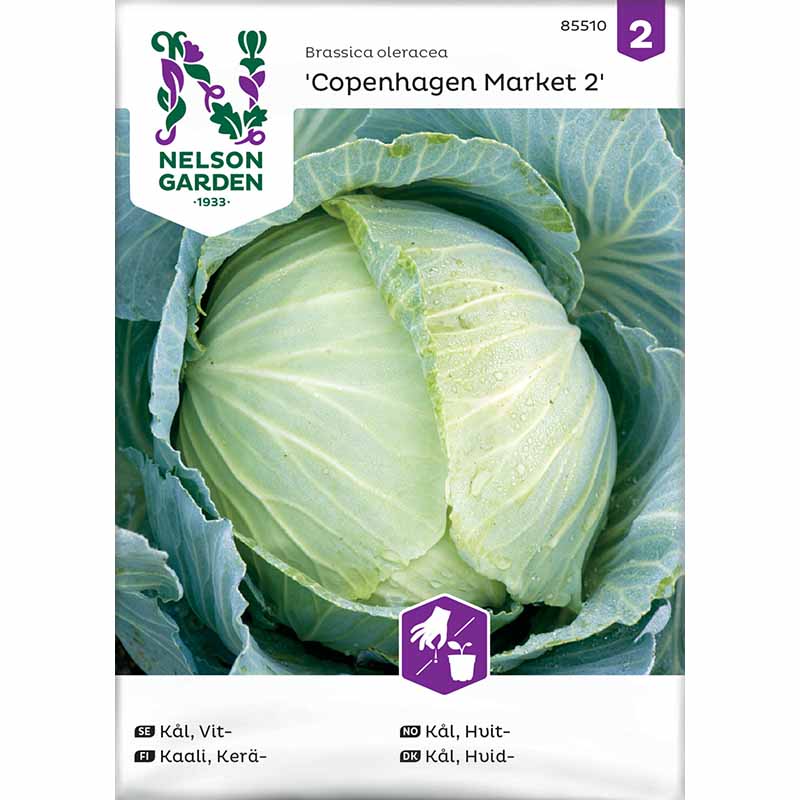 Weißkohl 'Copenhagen Market 2'