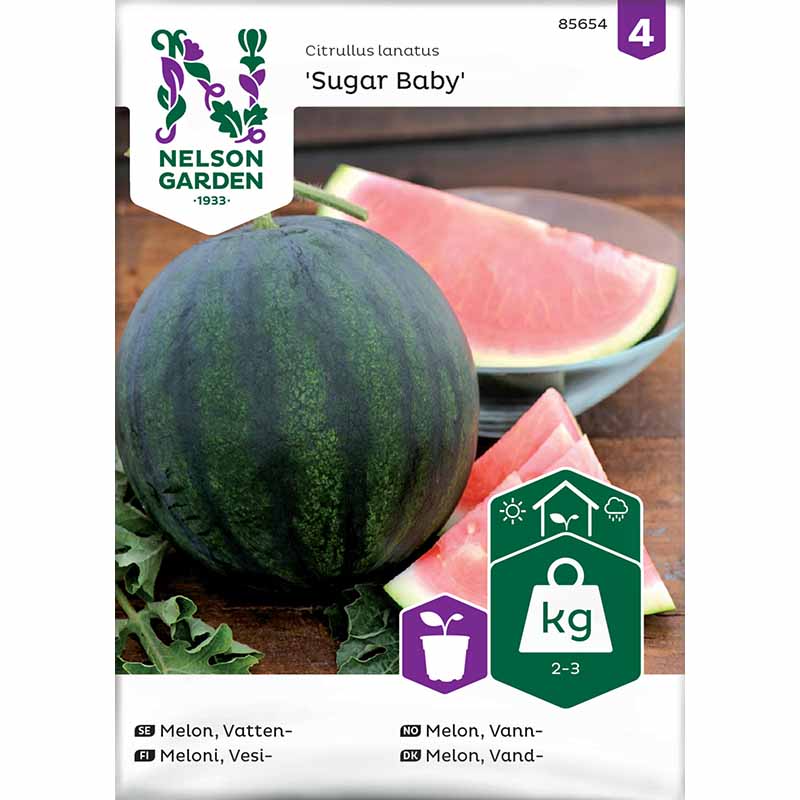 Wassermelone 'Suger baby'