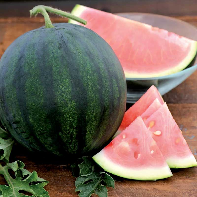 Wassermelone 'Suger baby'