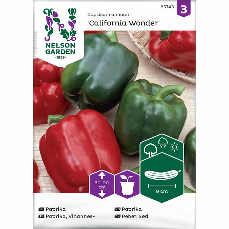 Paprika 'California Wonder'