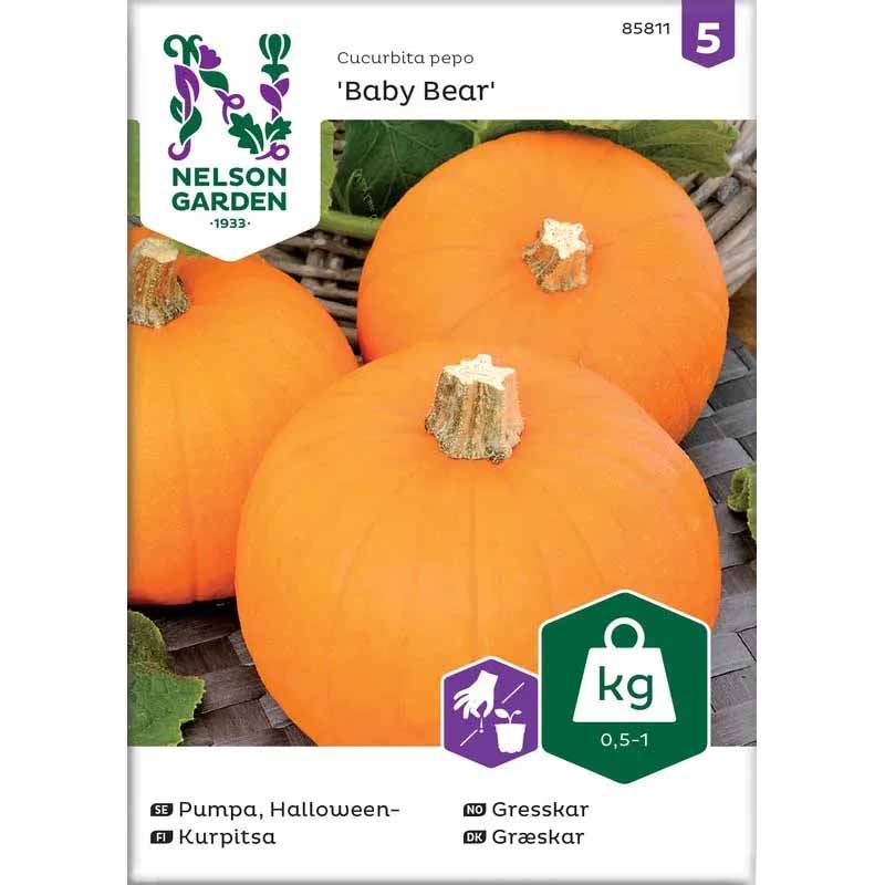Minikürbis 'Baby Bear'