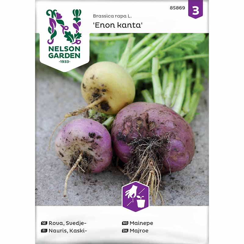Steckrübe 'Enon kanta'