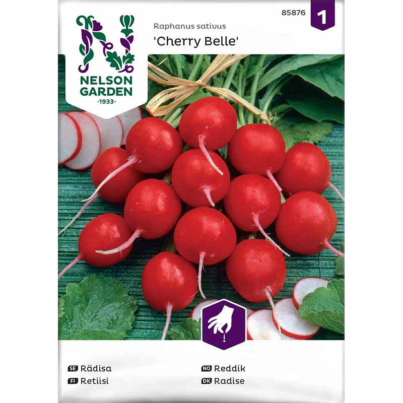 Radieschen 'Cherry Belle'