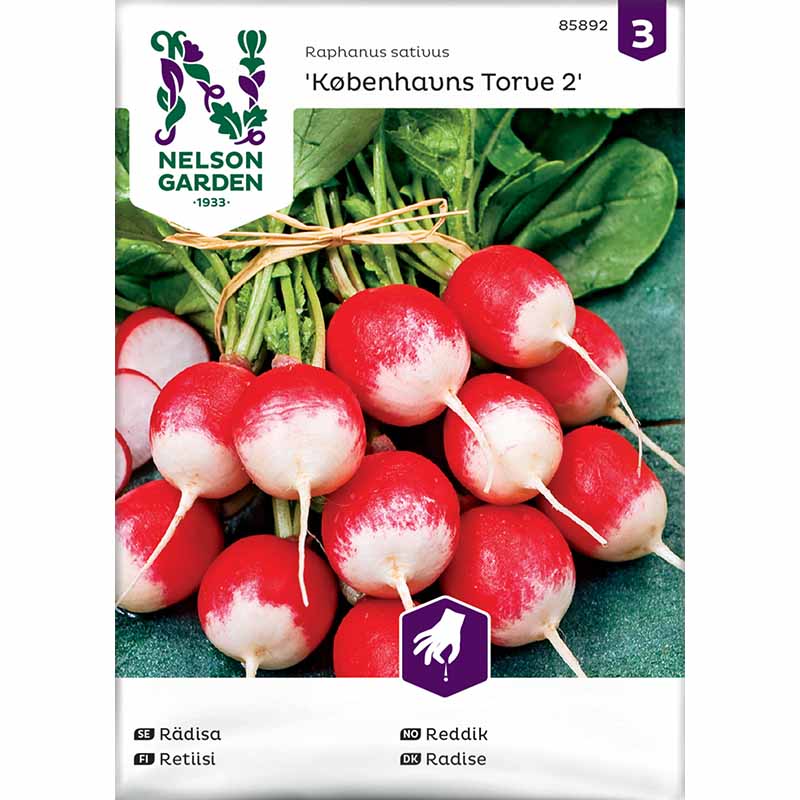 Radieschen 'Københavns Torve 2'