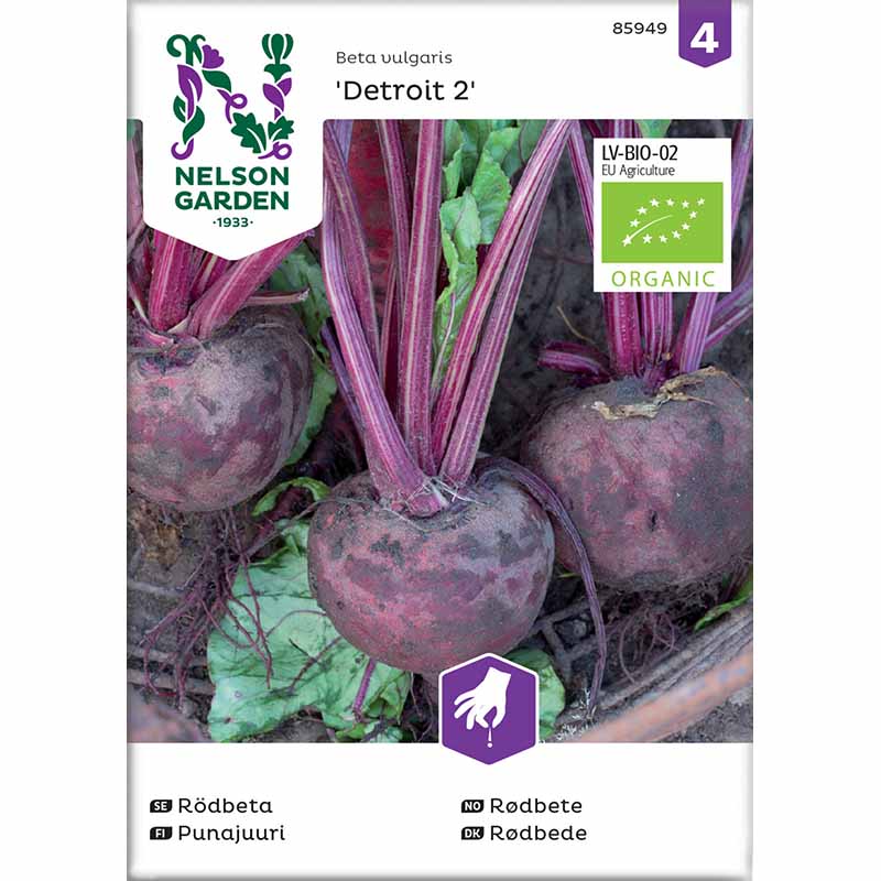 Rote Bete 'Detroit 2' Bio