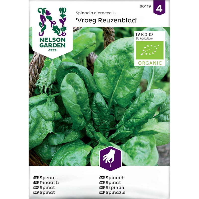 Spinach 'Vroeg Reuzenblad'