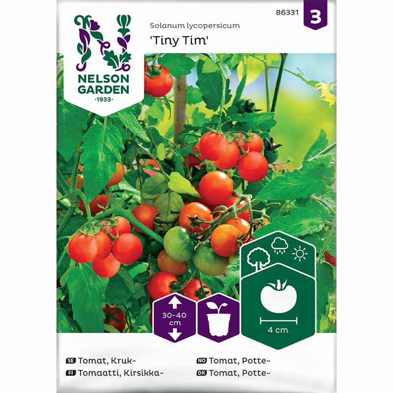 Cherrytomate 'Tiny Tim'
