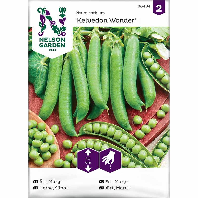 Markerbse 'Kelvedon Wonder'