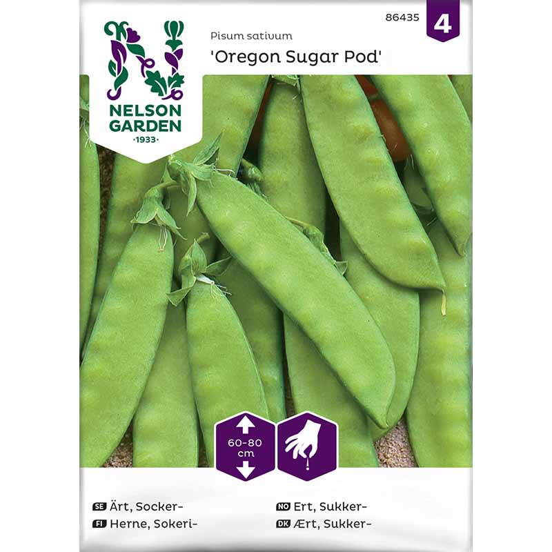 Zuckererbse 'Oregon Sugar Pod'