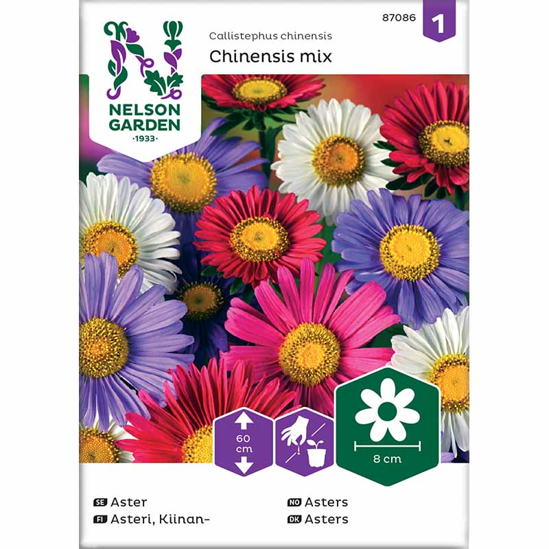 Aster 'Chinensis mix'