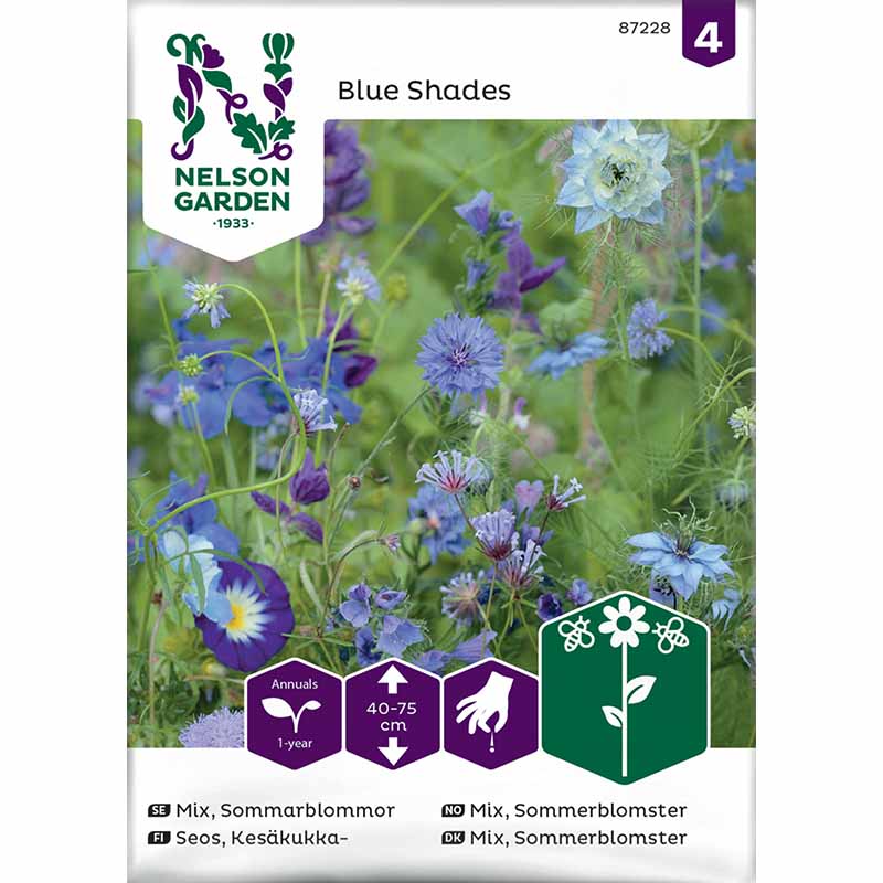 Sommerblumen 'Blue Shades'