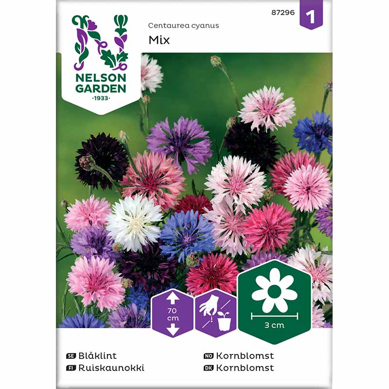 Kornblume Mischung