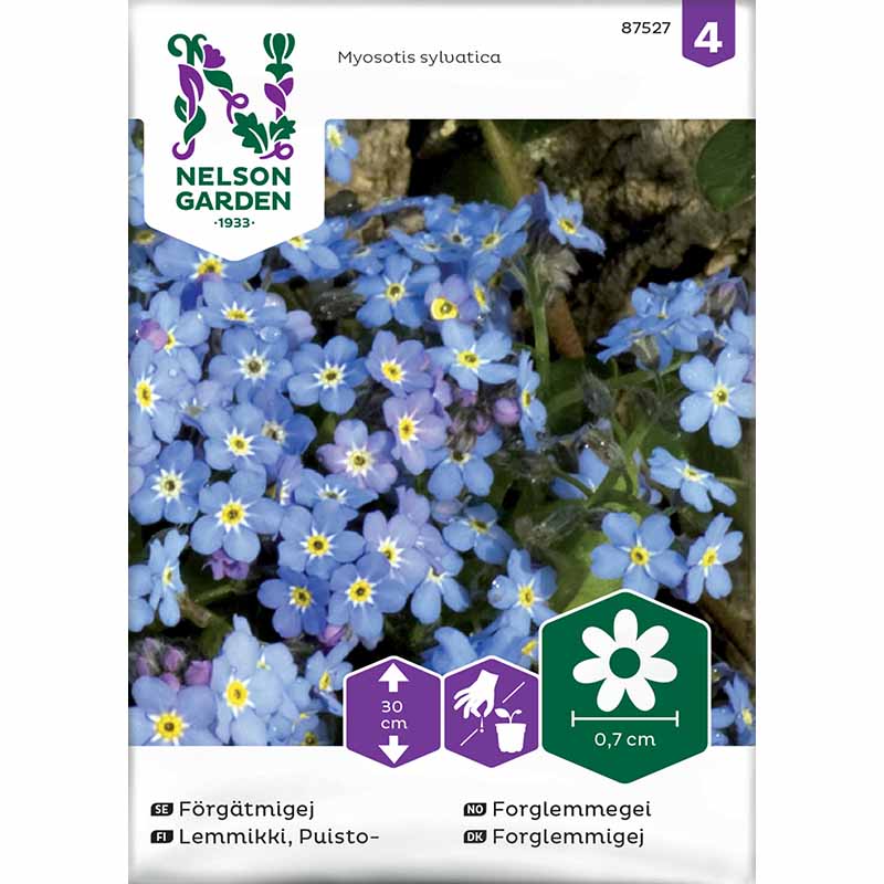 Vergissmeinnicht blau