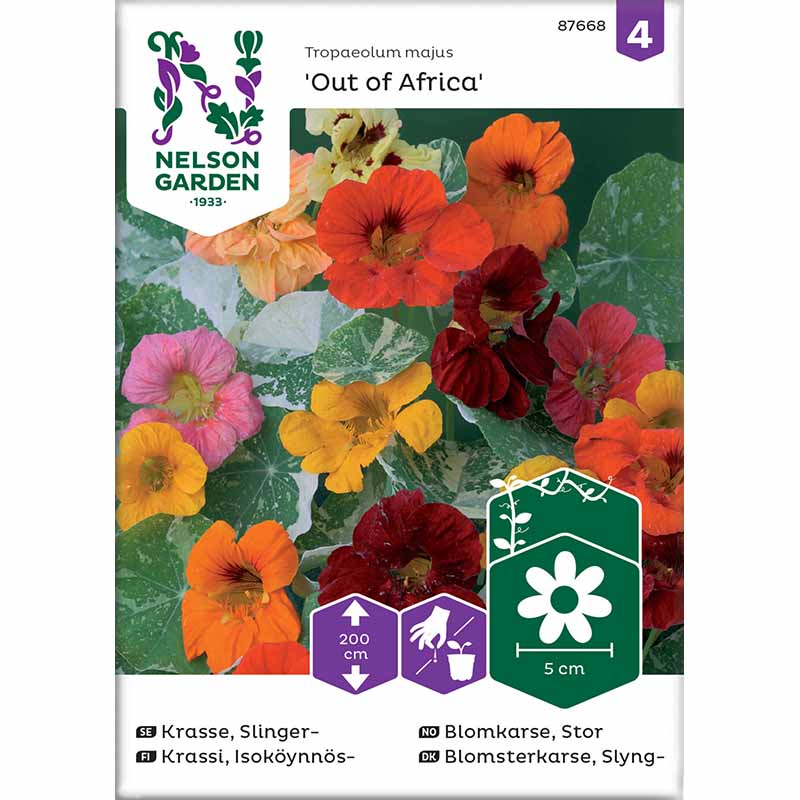 Rankende Kapuzinerkresse 'Out of Africa'