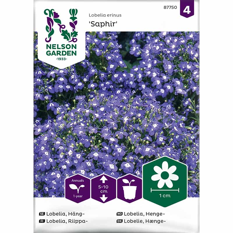 Hängelobelie 'Saphir' blau