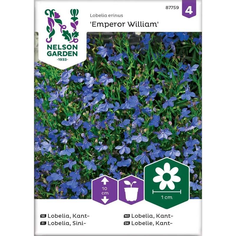 Randlobelie 'Emperor William'