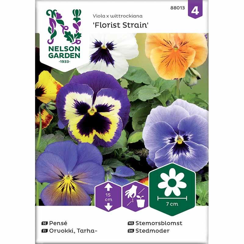 Stiefmütterchen 'Florist Strain' mix