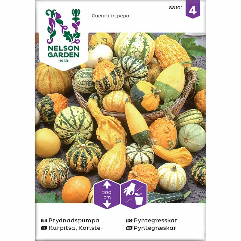 Zierkürbis, gemischte Sorten