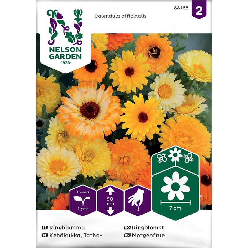 Ringelblume Mischung