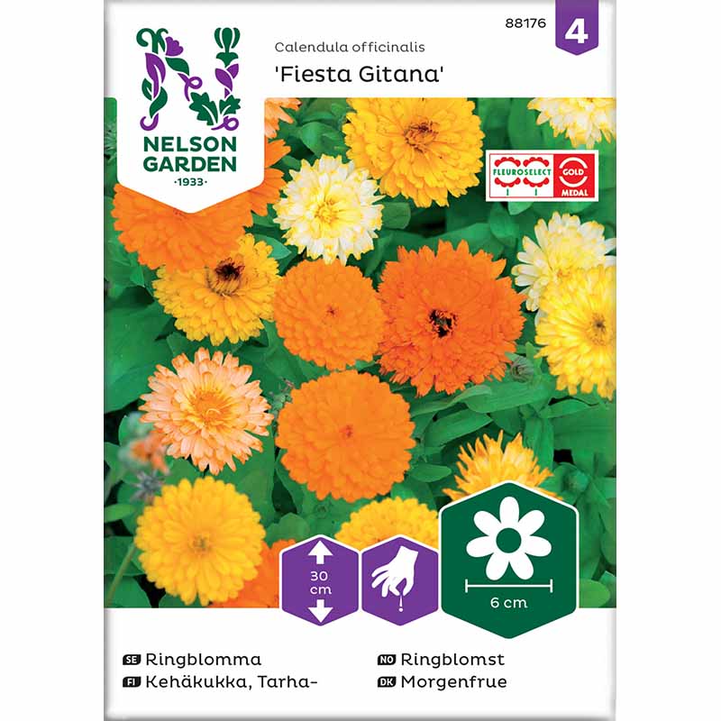 Ringelblume 'Fiesta Gitana'