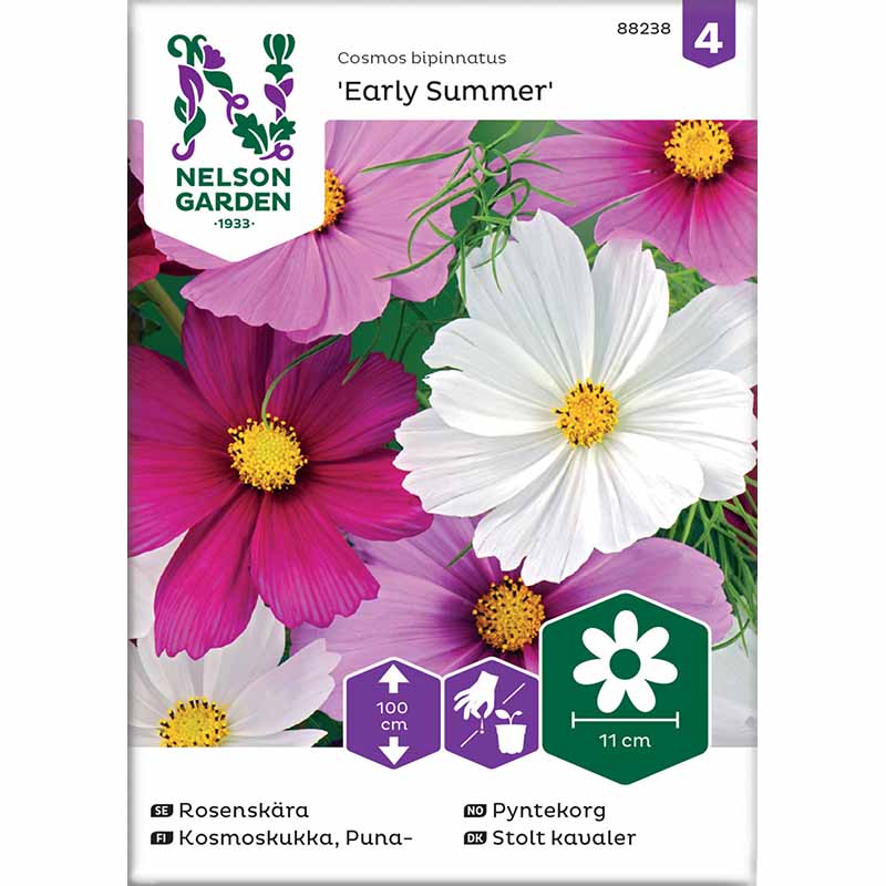 Kosmee 'Early Summer' mix