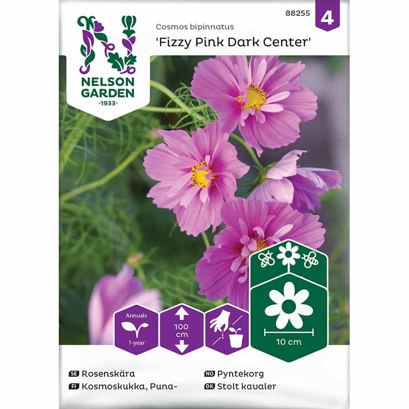 Kosmee 'Fizzy Pink Dark Center'