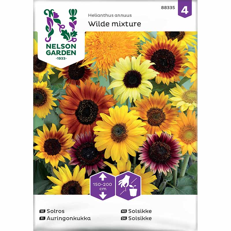 Sonnenblume 'Wilde mixture'