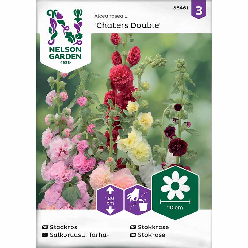 Stockrose 'Charters dubbel'