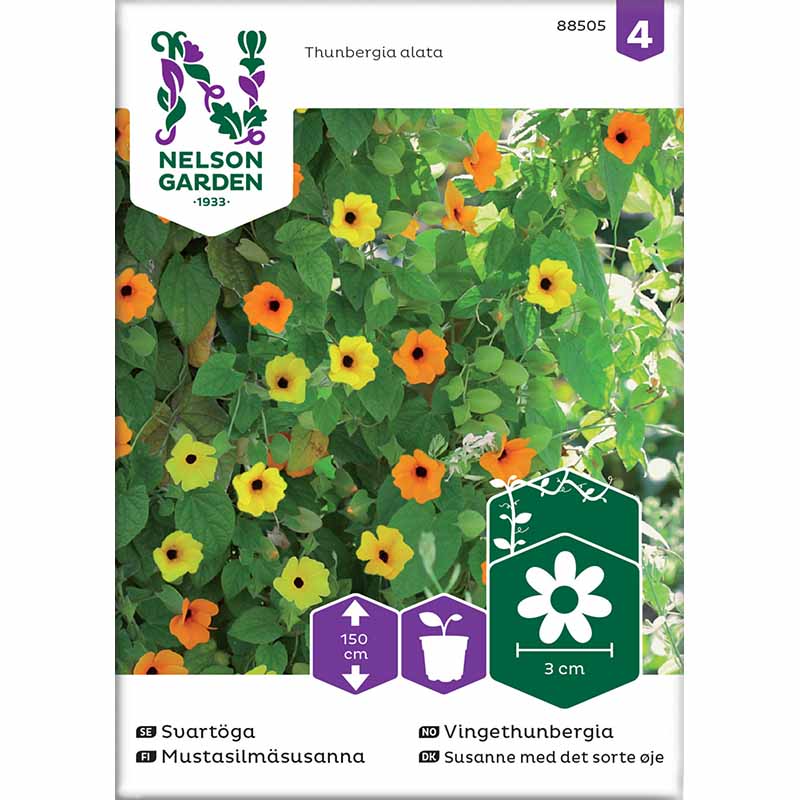 Schwarzäugige Susanne Mischung