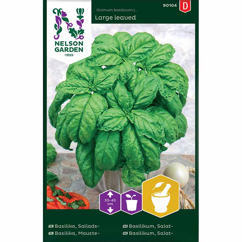 Salatblättriges Basilikum 'Large leaved'