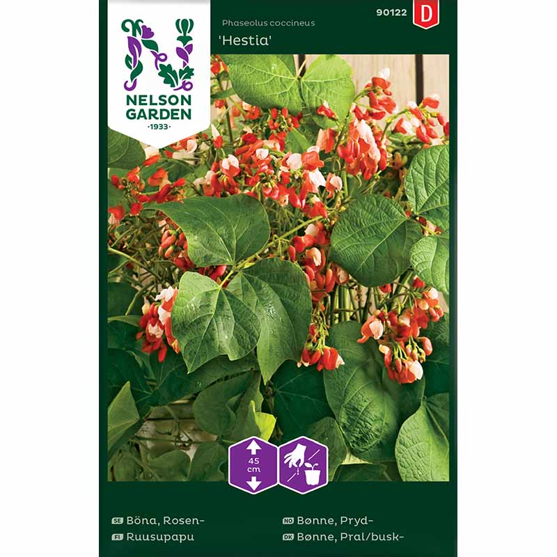 Feuerbohne 'Hestia' / Feuerbohne