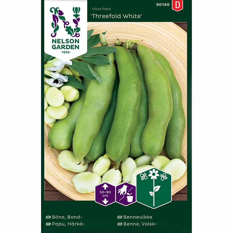 Dicke Bohne 'Threefold White'