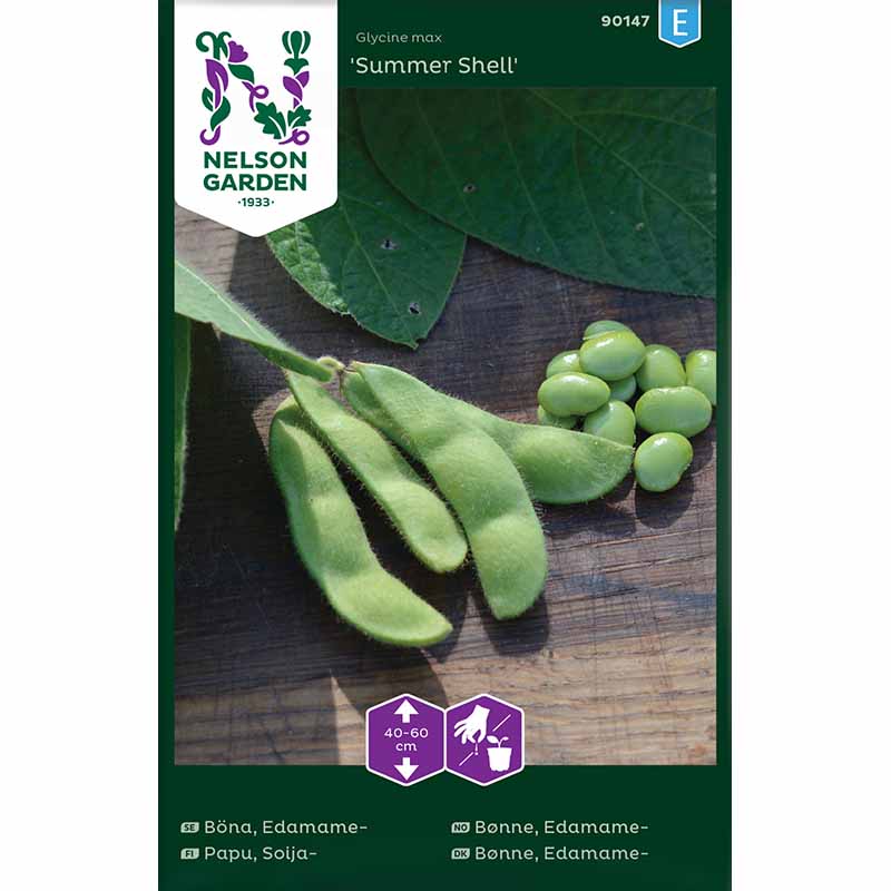Edamame Bohne 'Summer Shell'
