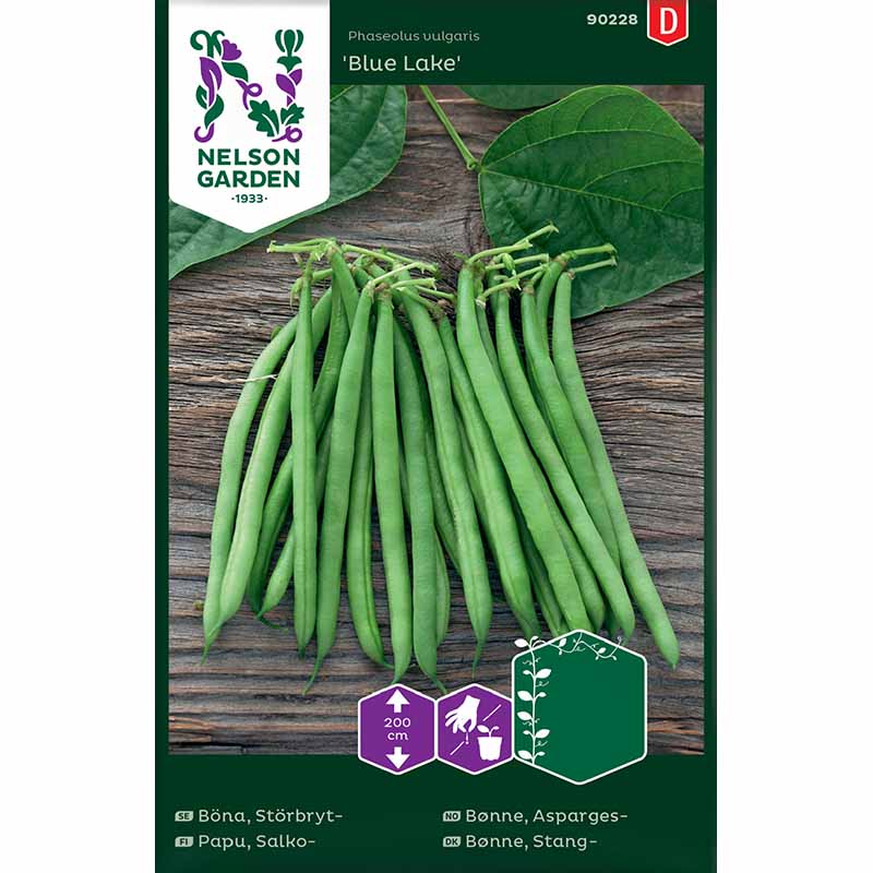 Stangenbohne 'Blue Lake'
