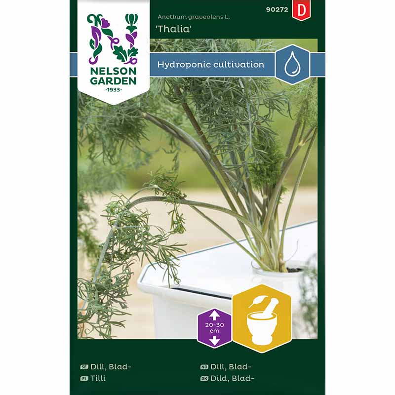 Blattdill 'Thalia' - Harvy