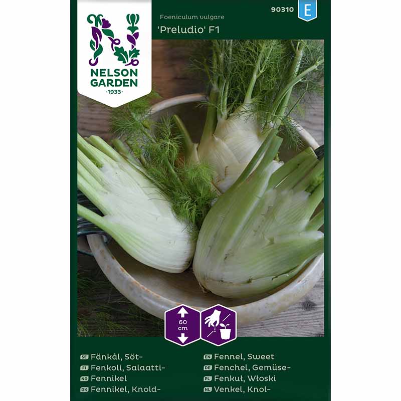 Süßer Fenchel 'Preludio' F1