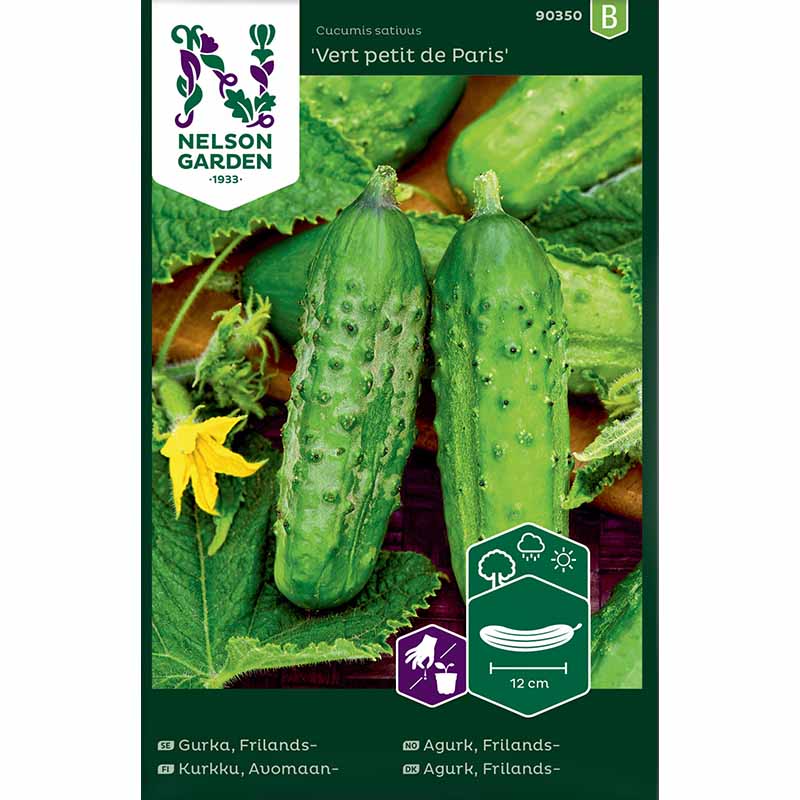 Einlegegurke 'Vert petit de Paris'
