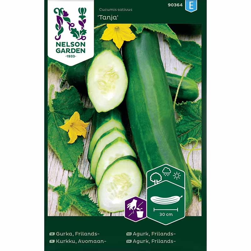Salatgurke 'Tanja'