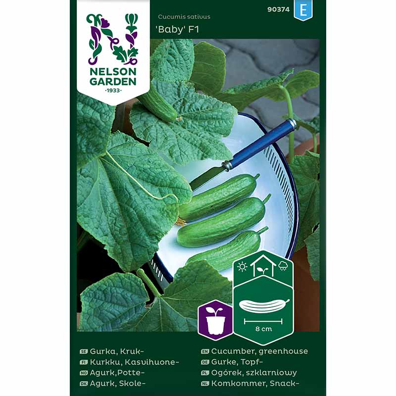 Topfgurke 'Baby' F1