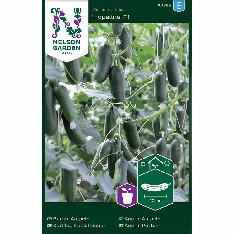 Gurke 'Hopeline' F1