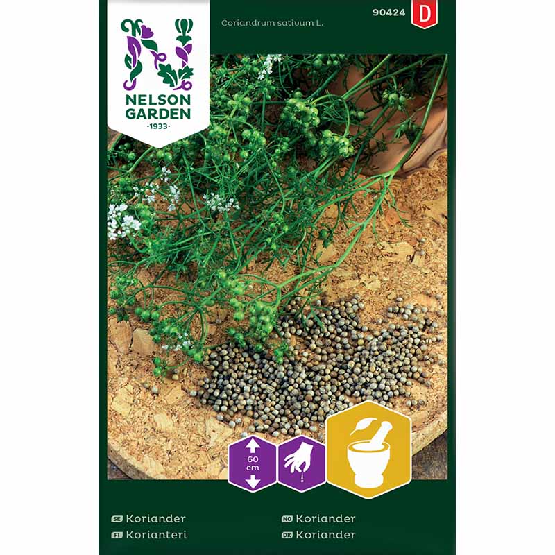 Koriander