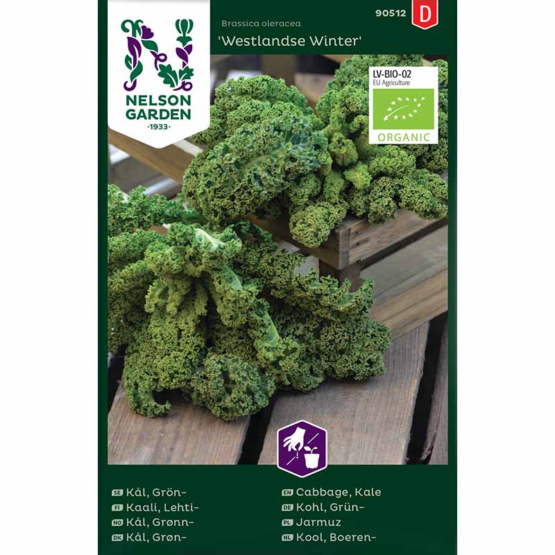 Grünkohl 'Westlandse Winter' Organic