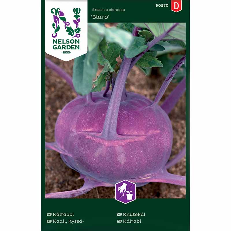 Kohlrabi 'Blaro'