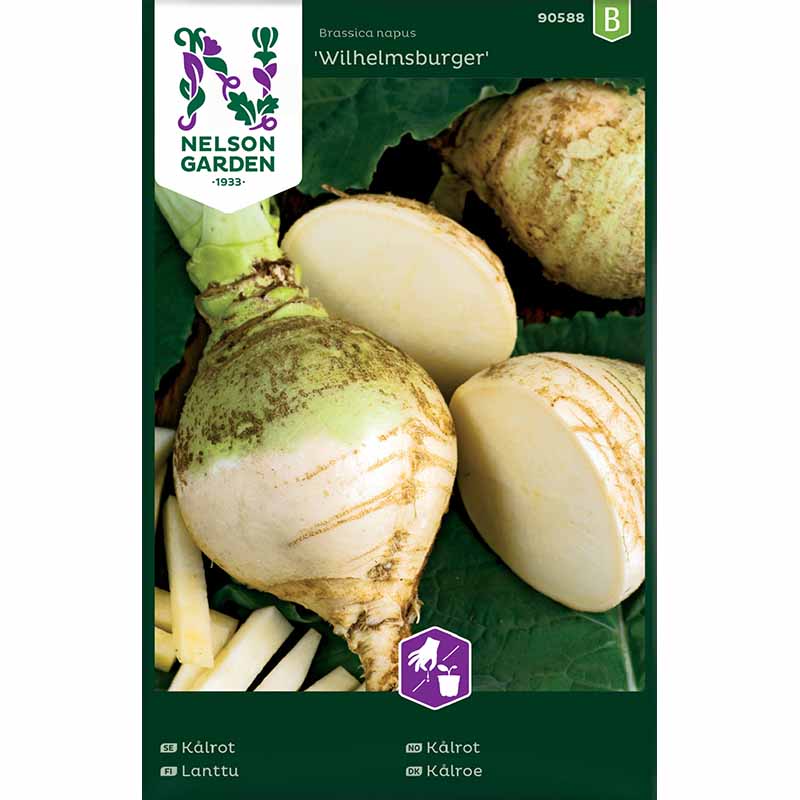 Steckrübe 'Wilhelmsburger'